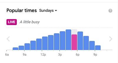 Google Maps Popular Times